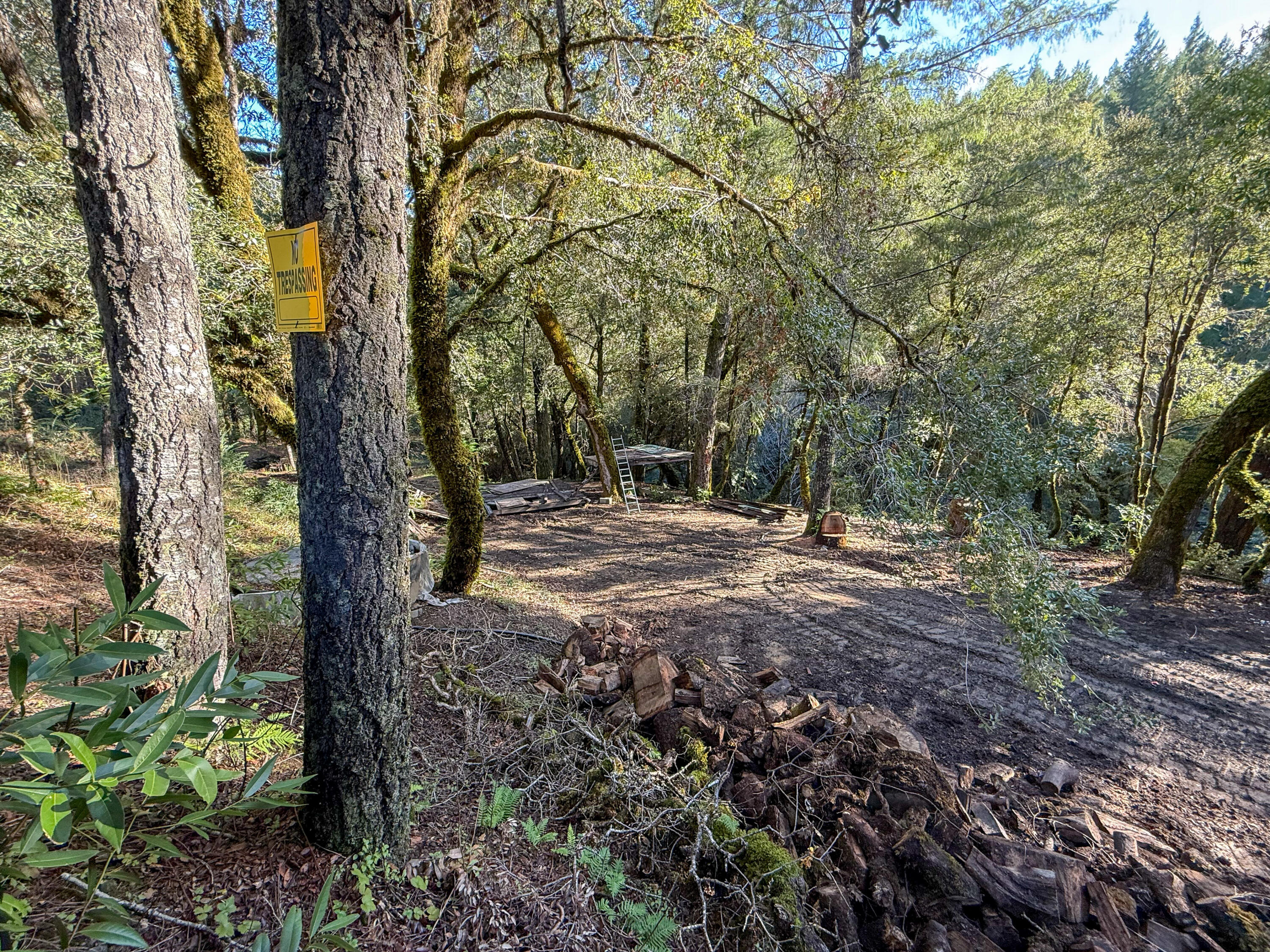 5200 Briceland Road Redway, CA 95560 - Photo 9 of 31