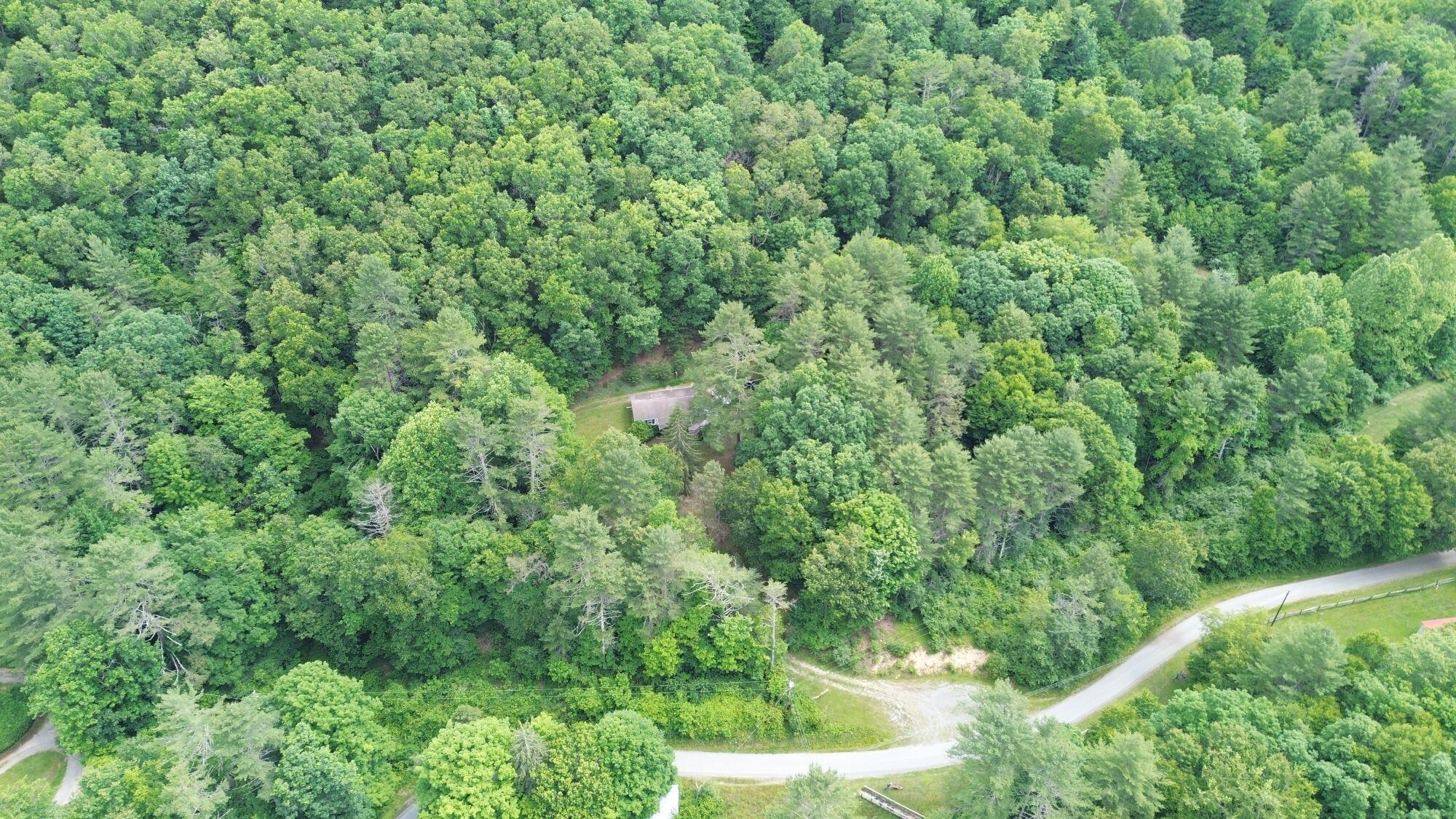 4262 Steven Hole Road Buckeye, WV 24924 - Photo 11 of 48 Gallery Image 11