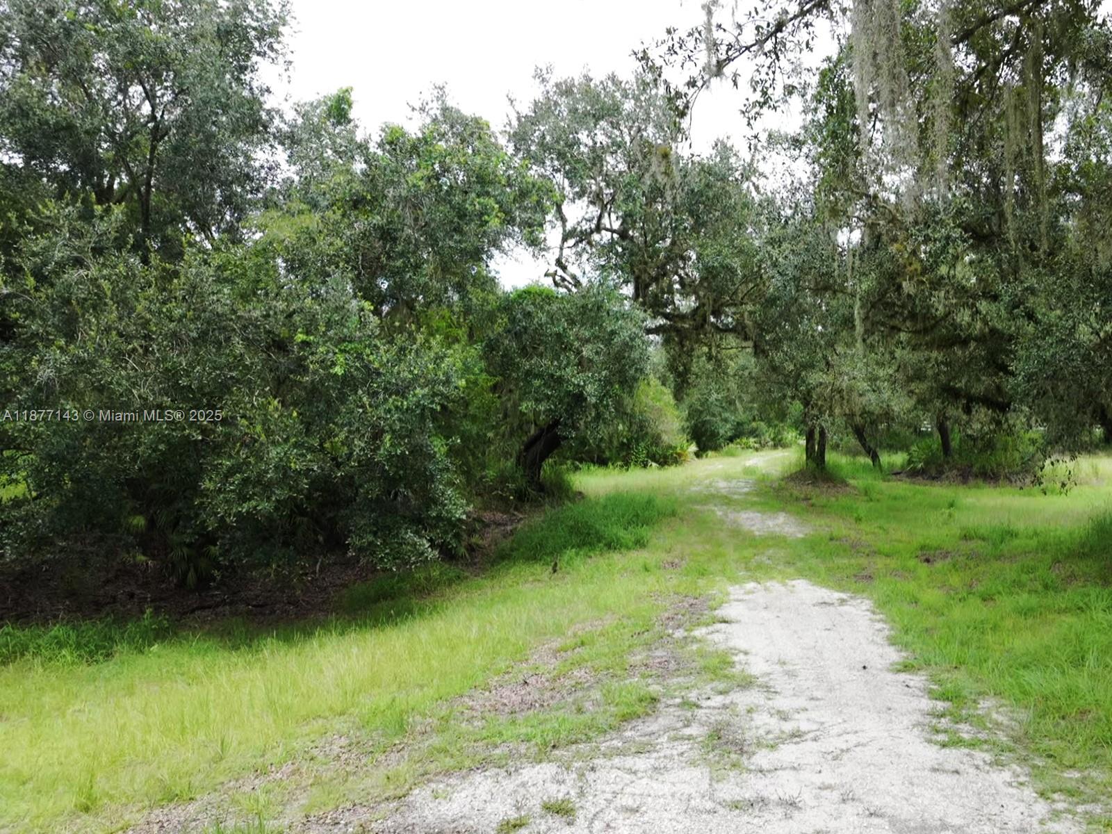 1111 Hodent Road Arcadia, FL 34266 - Photo 23 of 36 Gallery Image 23