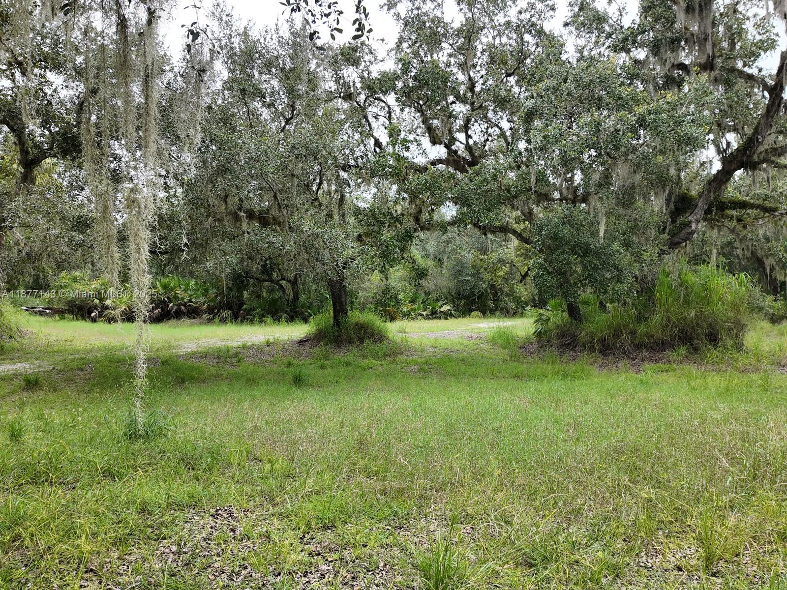 1111 Hodent Road Arcadia, FL 34266 - Photo 25 of 36 Gallery Image 25