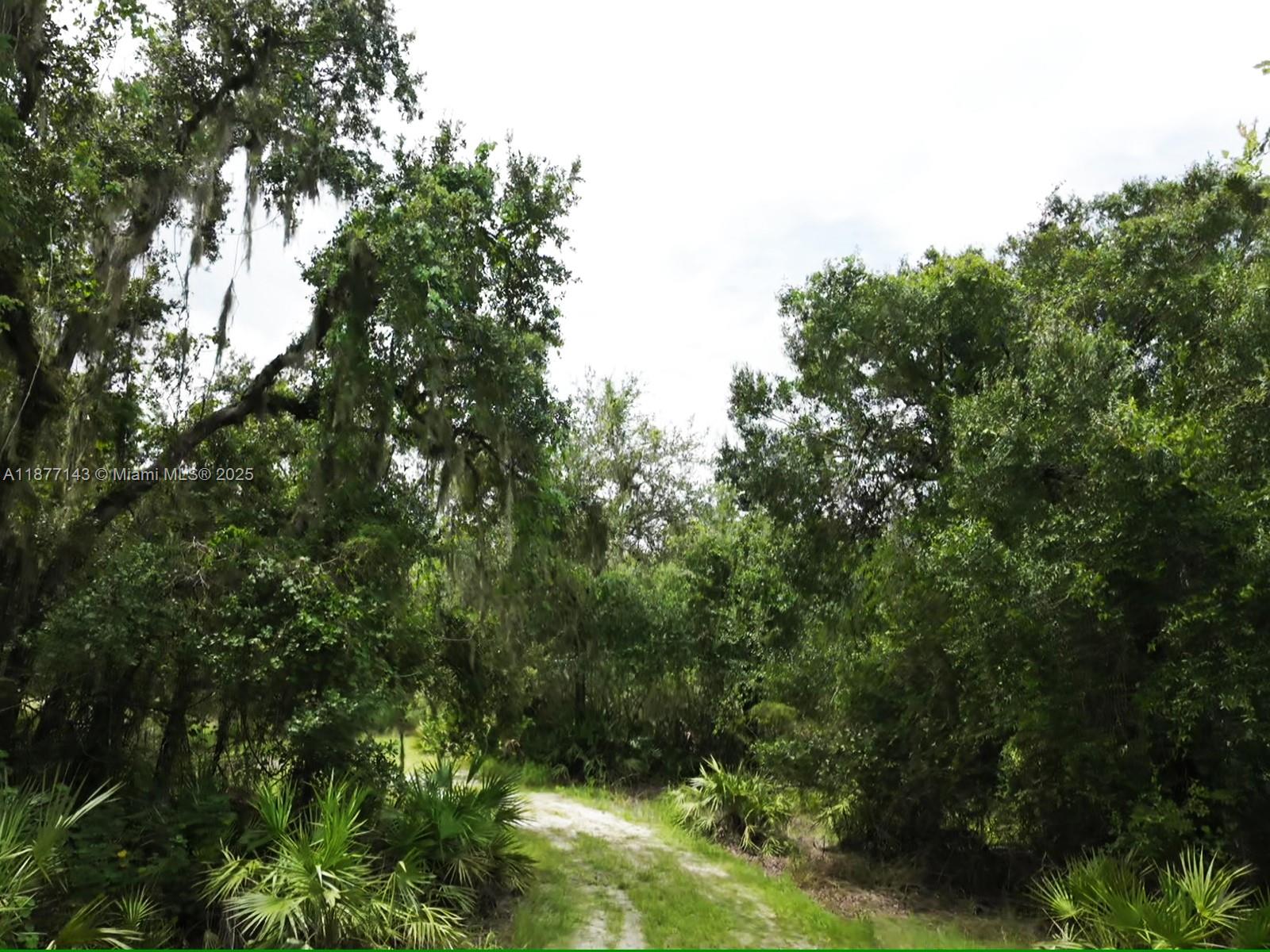 1111 Hodent Road Arcadia, FL 34266 - Photo 26 of 36 Gallery Image 26