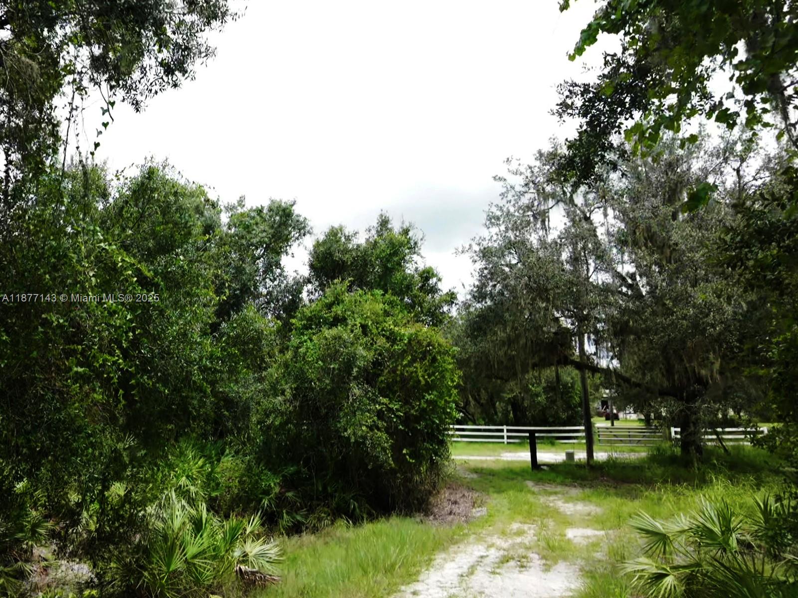 1111 Hodent Road Arcadia, FL 34266 - Photo 27 of 36 Gallery Image 27