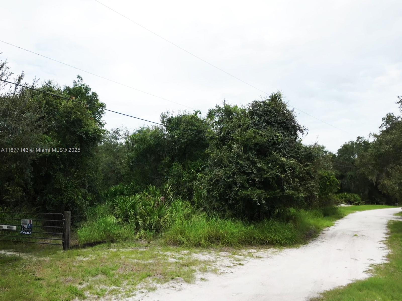 1111 Hodent Road Arcadia, FL 34266 - Photo 30 of 36 Gallery Image 30