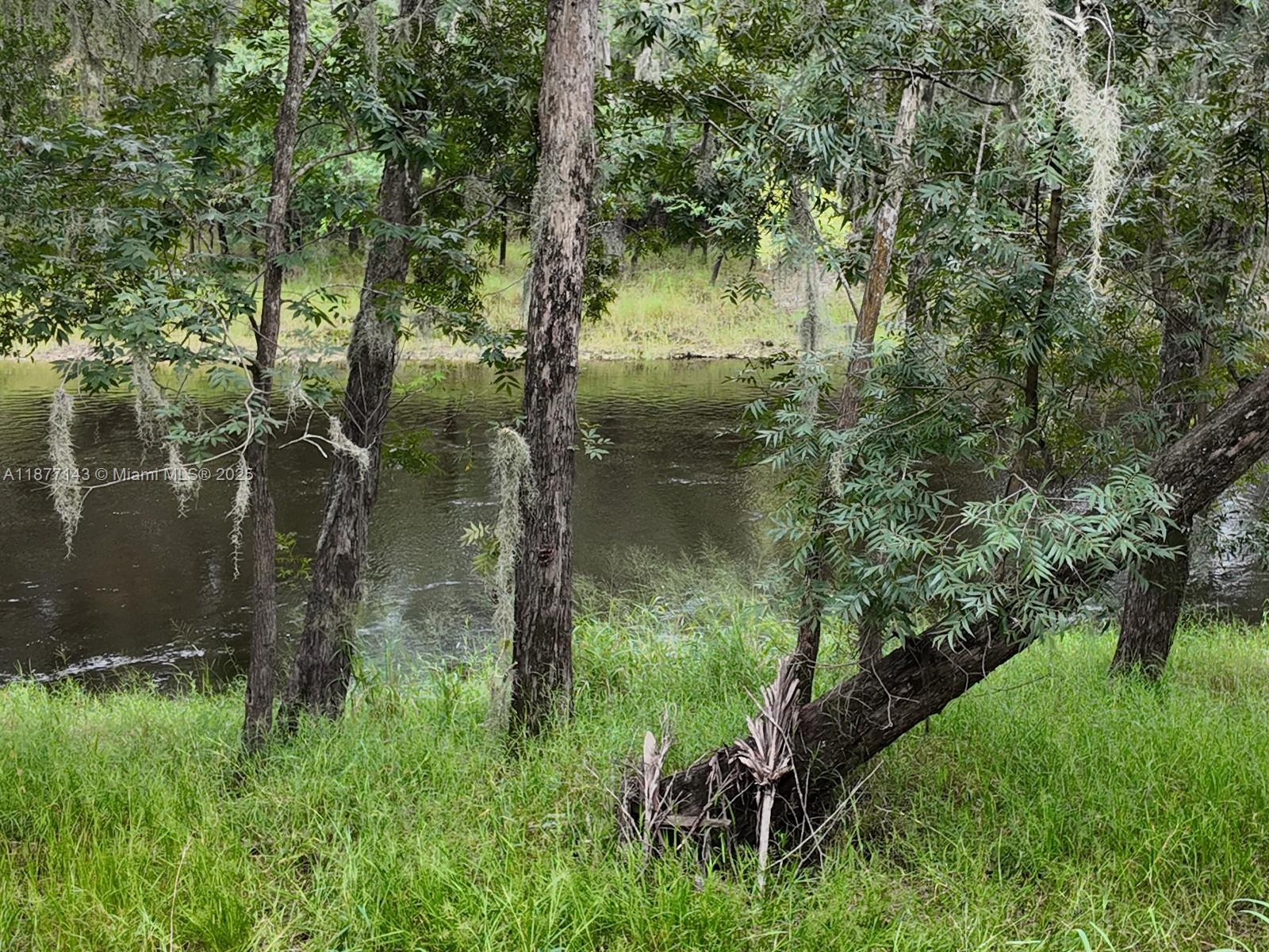 1111 Hodent Road Arcadia, FL 34266 - Photo 8 of 36 Gallery Image 8