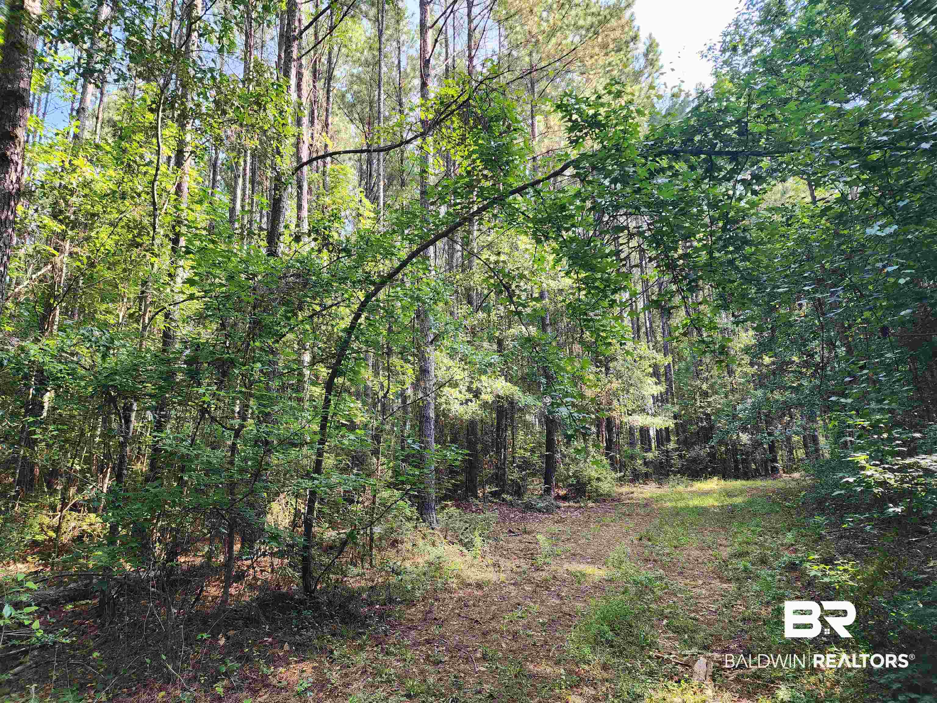 0 Lowery Road Atmore, AL 36502 - Photo 12 of 28