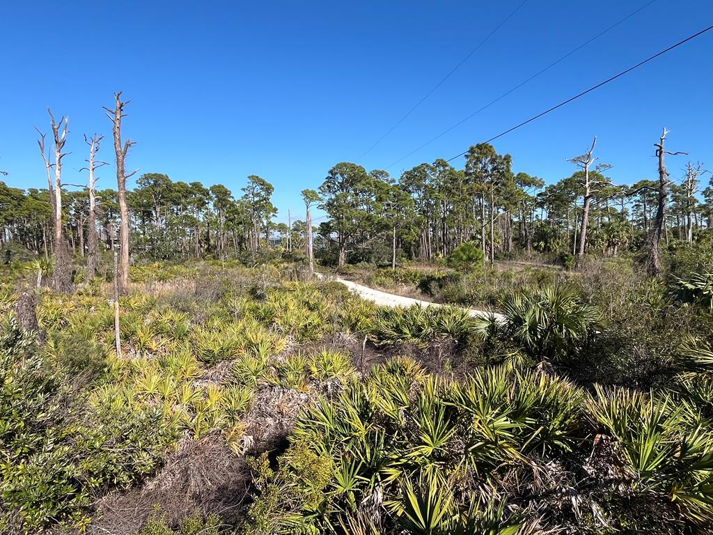 5580 Cape San Blas Road Port St. Joe, FL 32456 - Photo 1 of 1