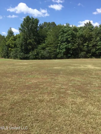 $110,000 | 0 Rowell Road, Coldwater, MS 38618