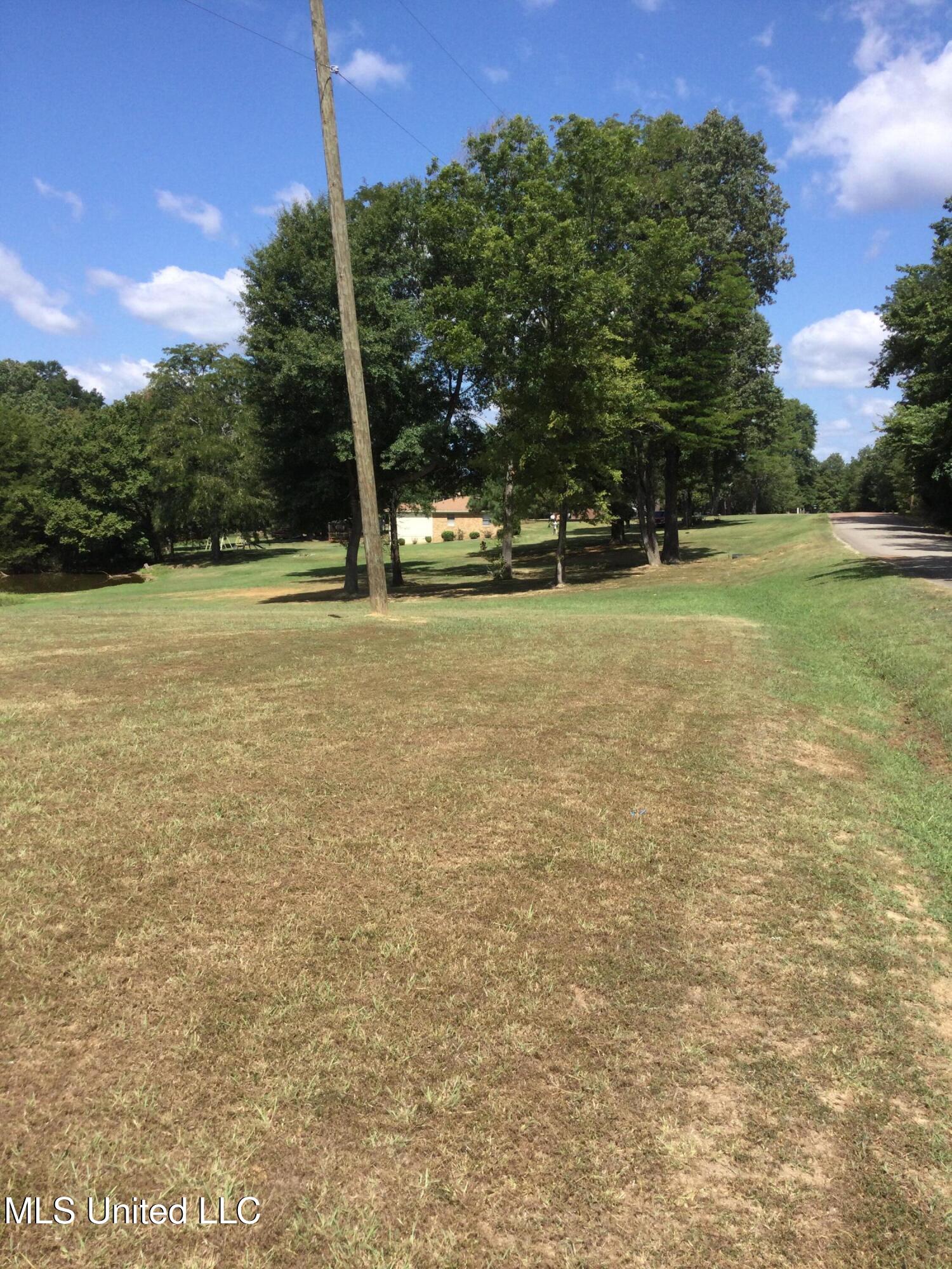 0 Rowell Road Coldwater, MS 38618 - Photo 2 of 7 IMG_1136