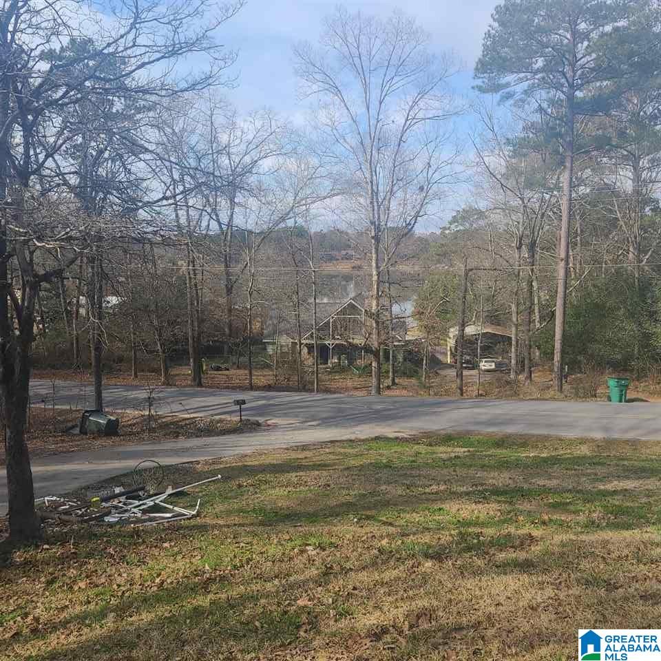 1915 Rabbit Branch Road Cropwell, AL 35054 - Photo 16 of 16