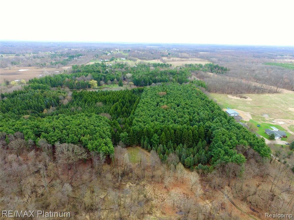 20 Ac V/l Eager/curdy Road Howell, MI 48855 - Photo 8 of 10
