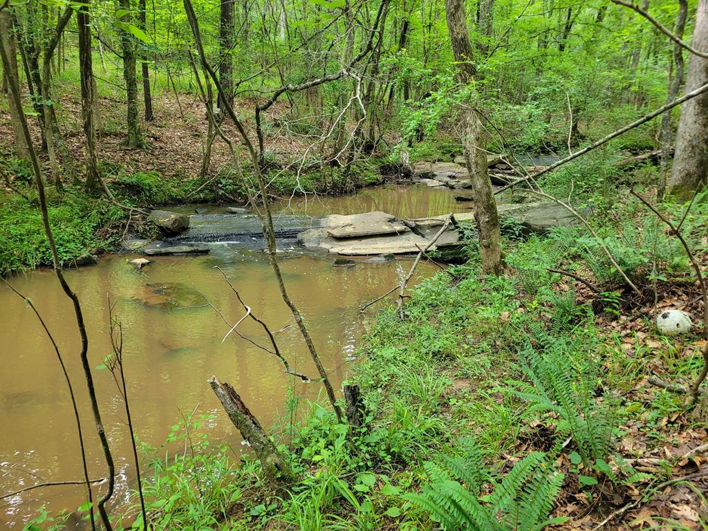 578 Richardson Road Fortson, GA 31808 - Photo 49 of 51 Gallery Image 49