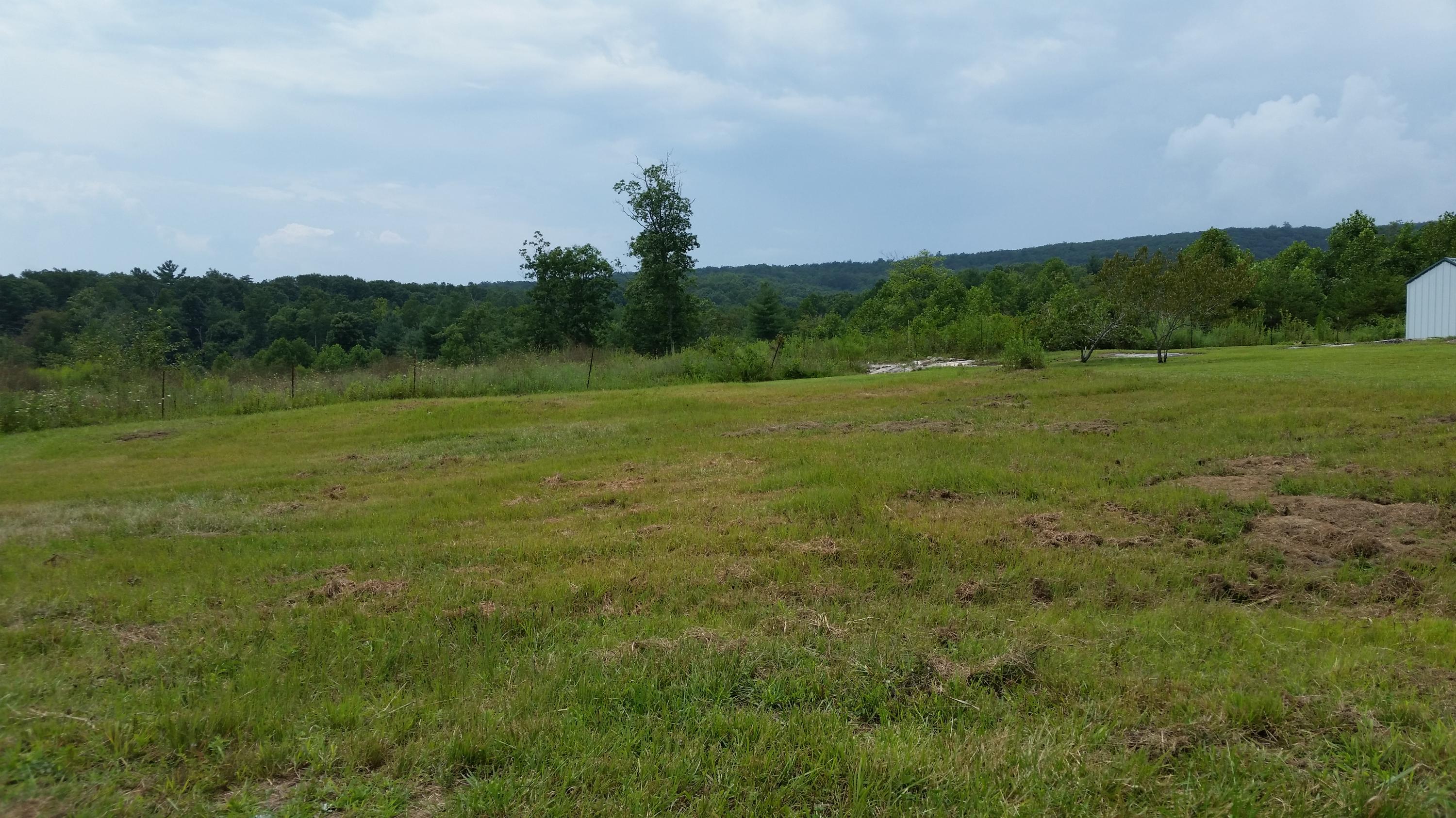 789 Illuminary Firetower Road Spring City, TN 37381 - Photo 14 of 28 20150810_131957
