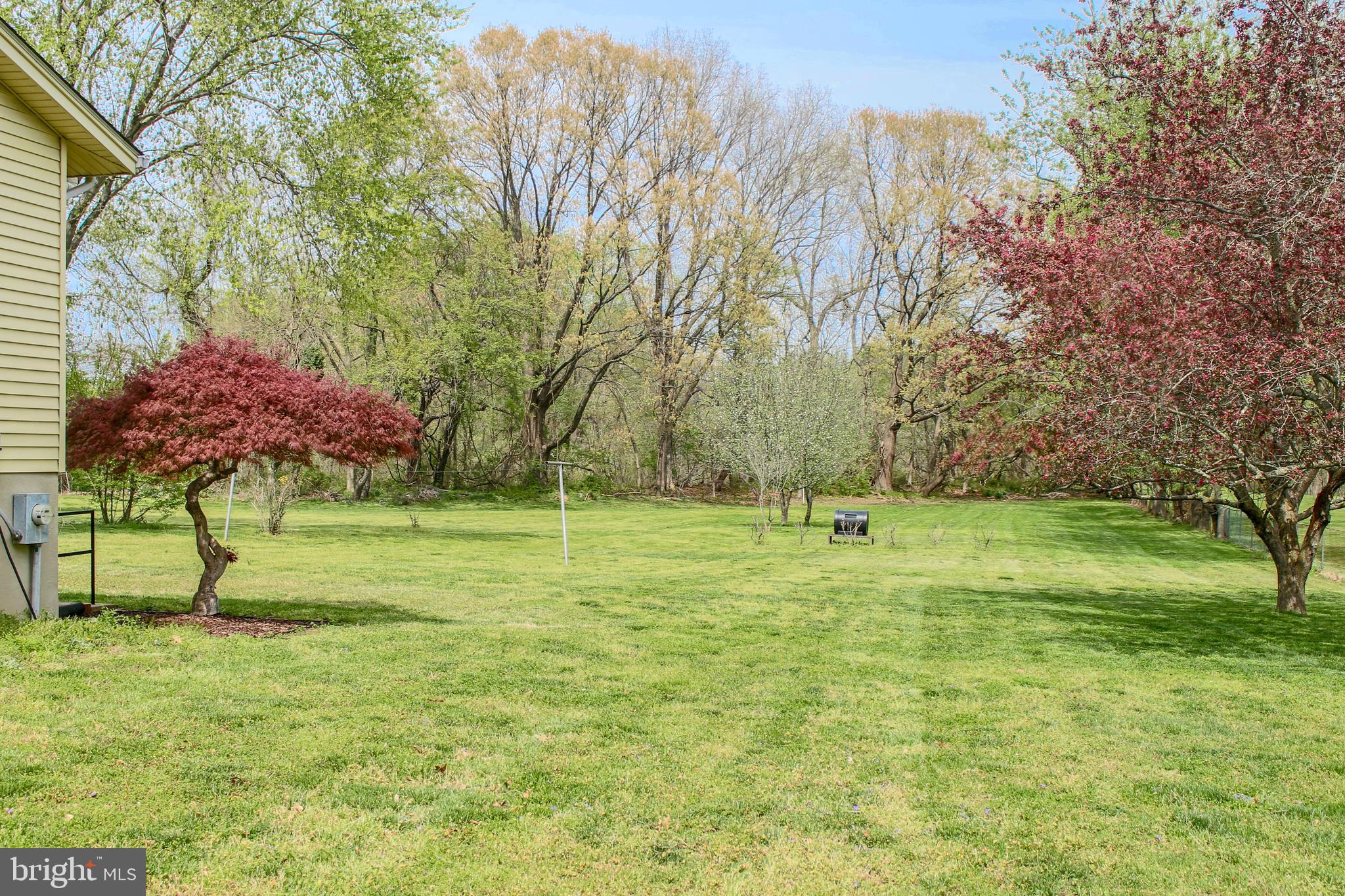 72 Old Solomons Island Road Lothian, MD 20711 - Photo 29 of 38 Big level back yard