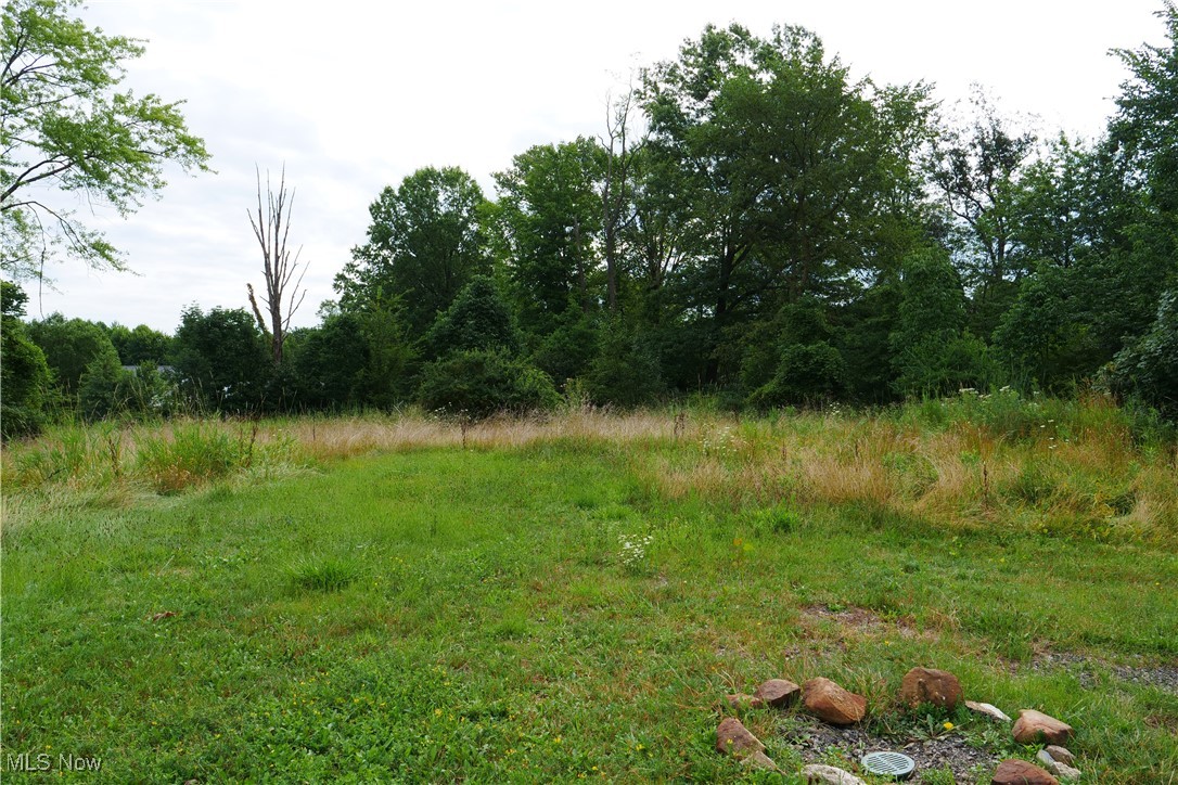 9879 Shepard Road Twinsburg, OH 44087 - Photo 28 of 30 Gallery Image 28