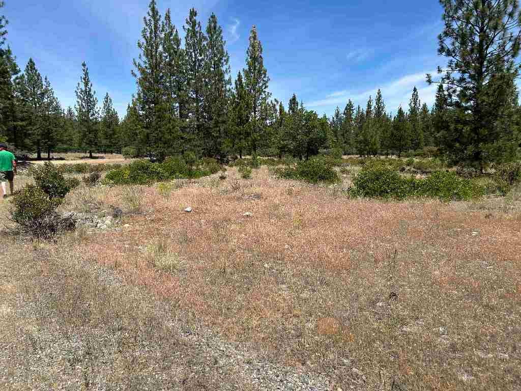 0 Patterson Creek Road Etna, CA 96027 - Photo 8 of 10 Gallery Image 8