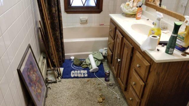 227 South Adams Street Pendleton, IN 46064 - Photo 9 of 13