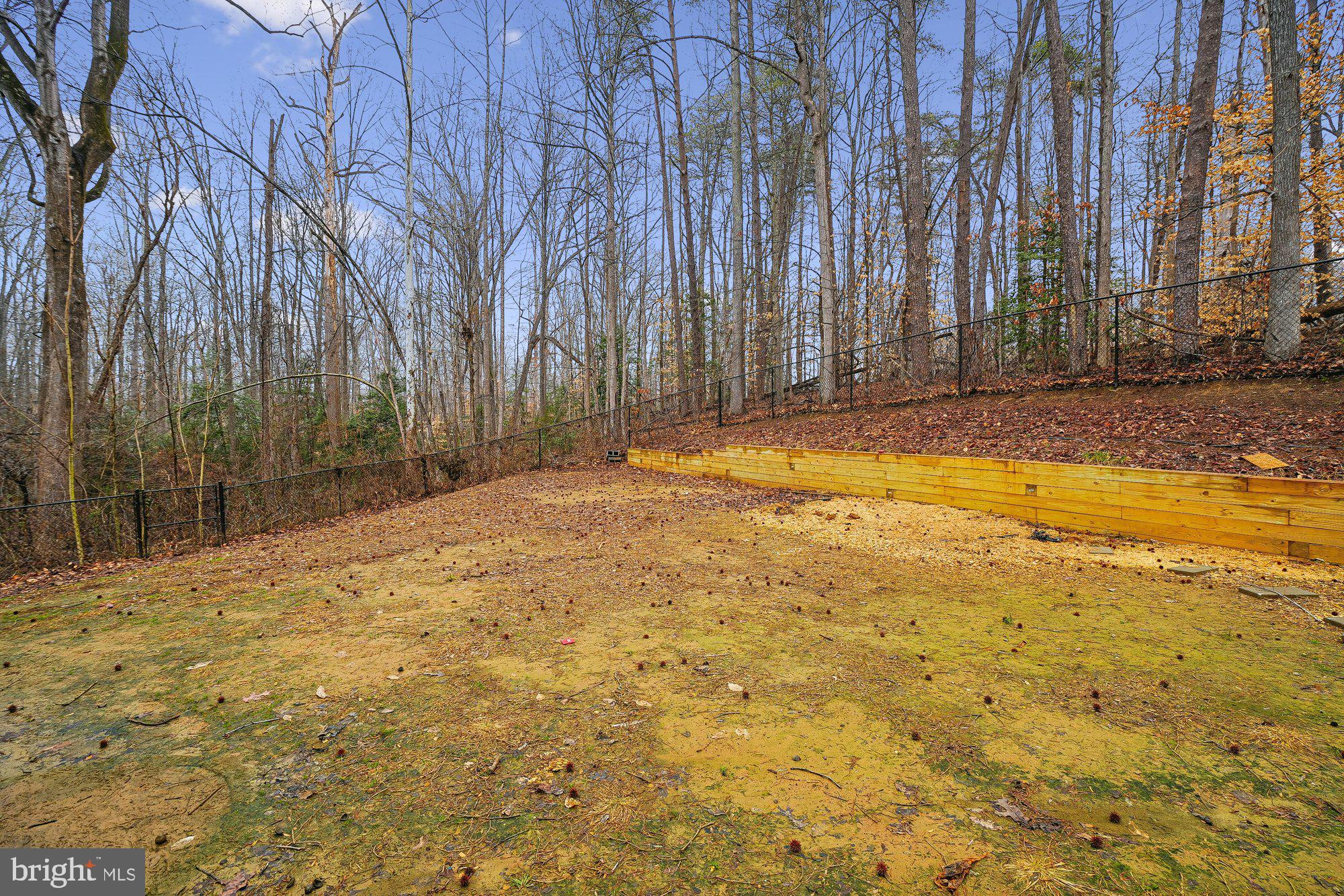 1515 Brooke Road Stafford, VA 22554 - Photo 20 of 20 Backyard