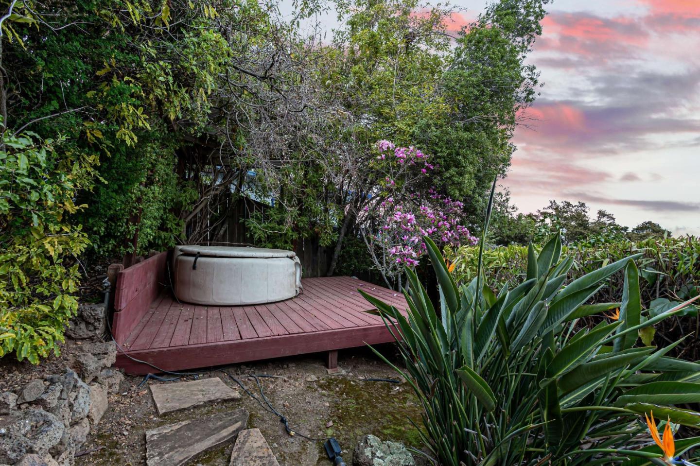 745 Holly Road Belmont, CA 94002 - Photo 35 of 50 a view of a yard with plants