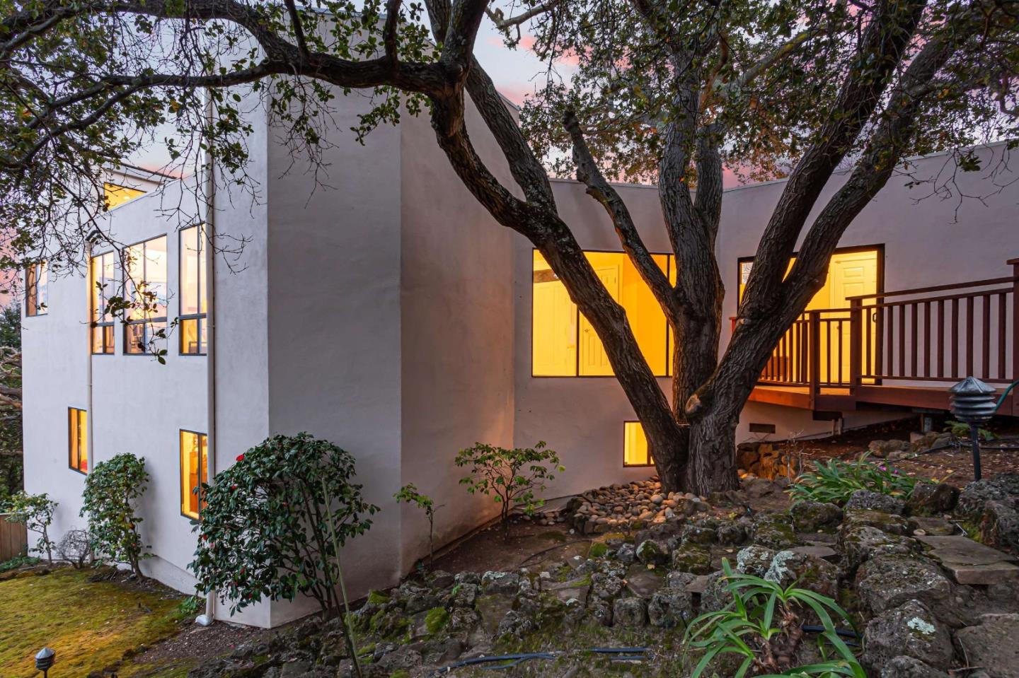 745 Holly Road Belmont, CA 94002 - Photo 43 of 50 a tree in the garden is sitting in front of a house