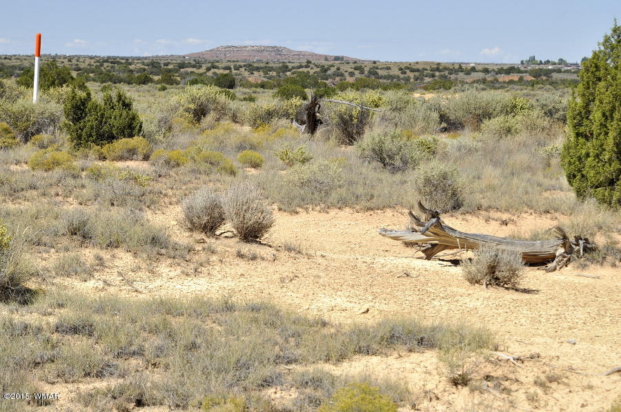 Lot 37 Snowflake Heights, Unit 4 Snowflake, AZ 85937 - Photo 1 of 14