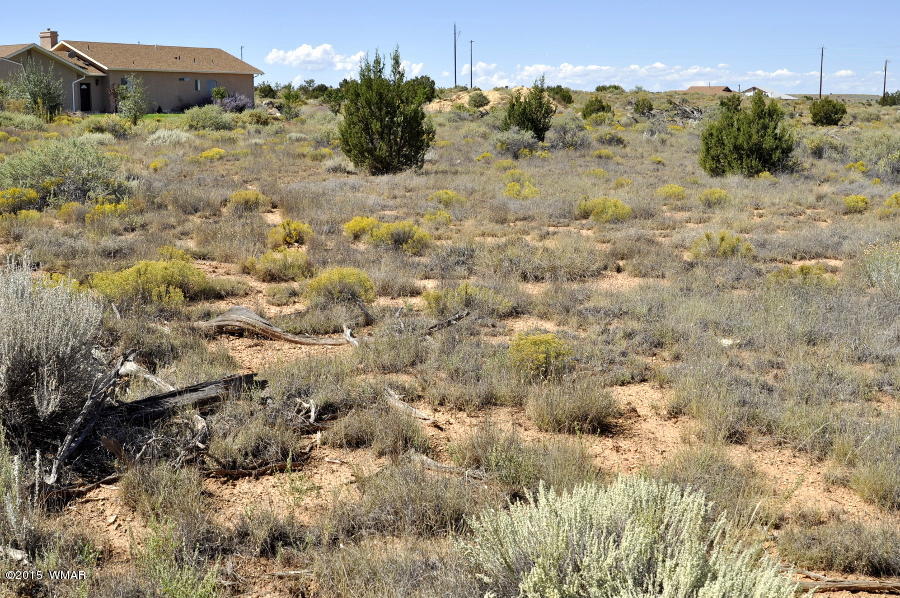 Lot 37 Snowflake Heights, Unit 4 Snowflake, AZ 85937 - Photo 11 of 14