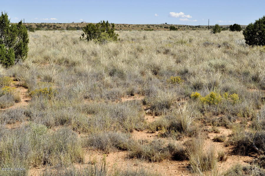 Lot 37 Snowflake Heights, Unit 4 Snowflake, AZ 85937 - Photo 12 of 14
