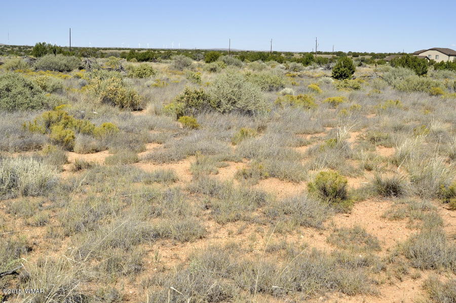 Lot 37 Snowflake Heights, Unit 4 Snowflake, AZ 85937 - Photo 13 of 14