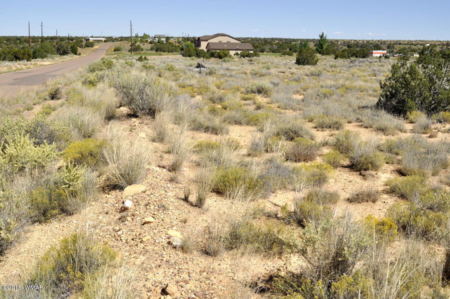 Lot 37 Snowflake Heights, Unit 4 Snowflake, AZ 85937 - Photo 2 of 14