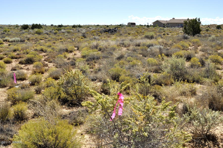 Lot 37 Snowflake Heights, Unit 4 Snowflake, AZ 85937 - Photo 3 of 14