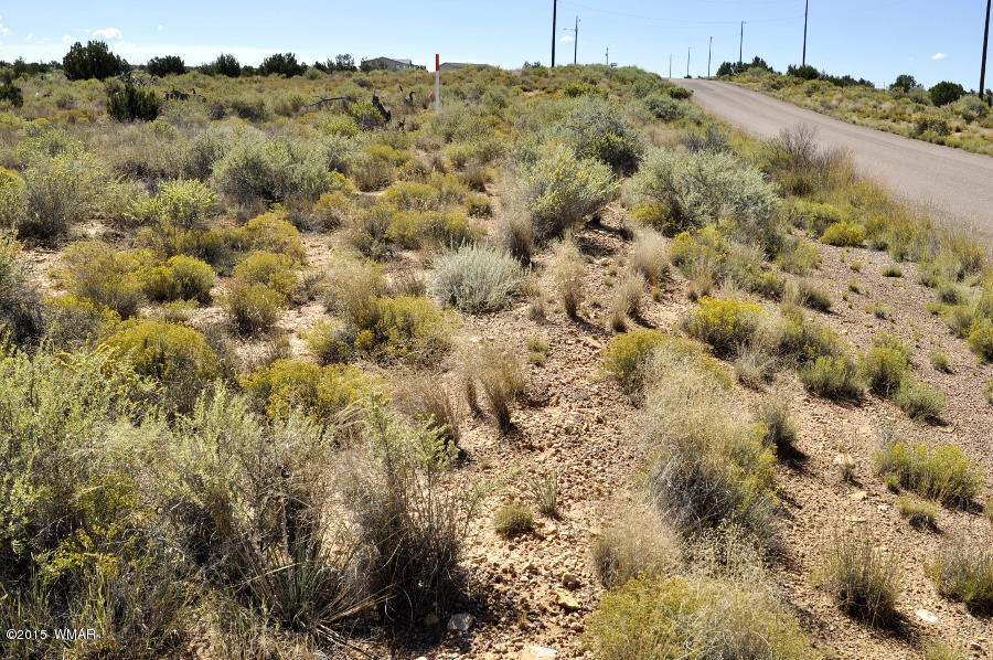 Lot 37 Snowflake Heights, Unit 4 Snowflake, AZ 85937 - Photo 4 of 14