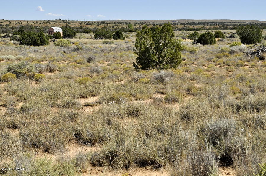 Lot 37 Snowflake Heights, Unit 4 Snowflake, AZ 85937 - Photo 7 of 14