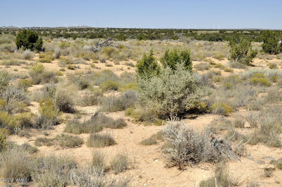 Lot 37 Snowflake Heights, Unit 4 Snowflake, AZ 85937 - Photo 8 of 14