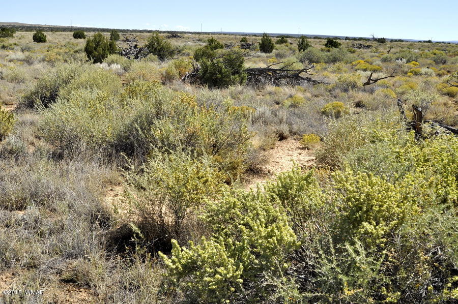 Lot 37 Snowflake Heights, Unit 4 Snowflake, AZ 85937 - Photo 9 of 14