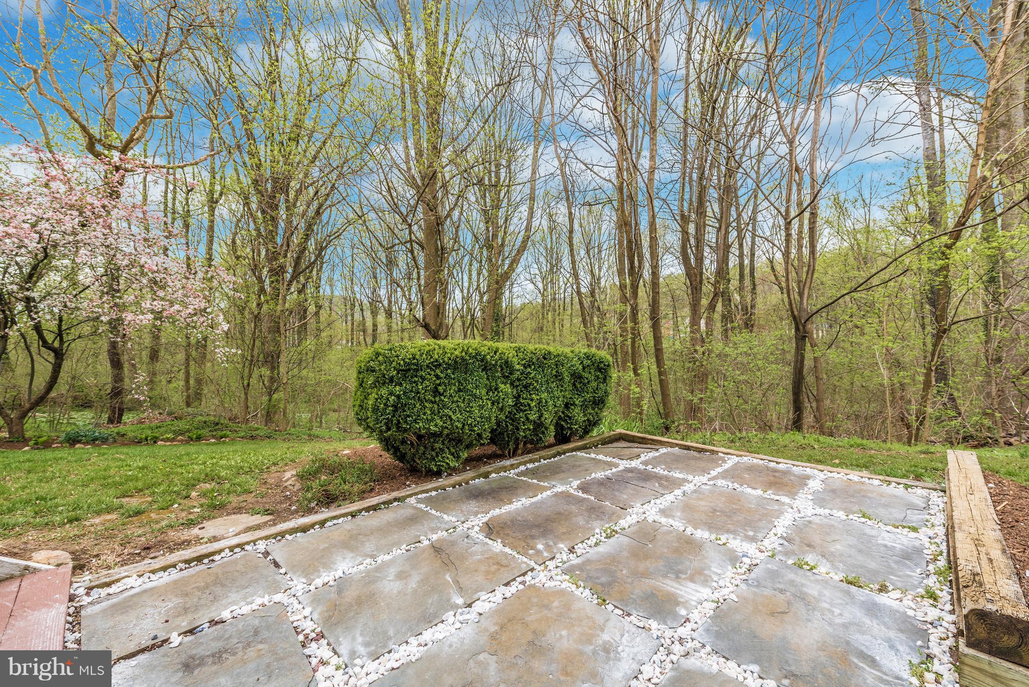 1706 Brookshire Run Point of Rocks, MD 21777 - Photo 26 of 29 a view of a backyard with large trees