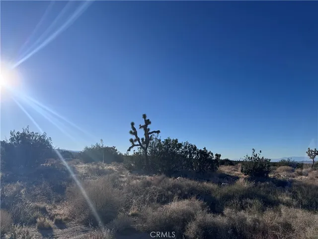 $50,000 | 0 Vac/antelope, Llano, CA 93544