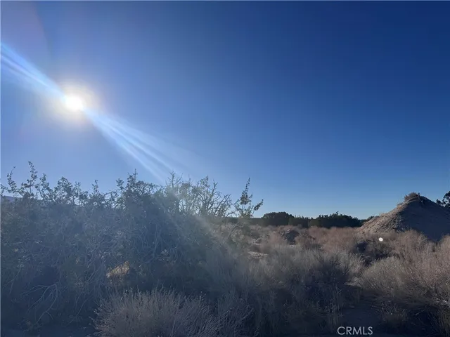 $50,000 | 0 Vac/antelope, Llano, CA 93544