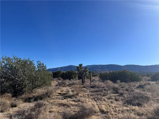 $50,000 | 0 Vac/antelope, Llano, CA 93544