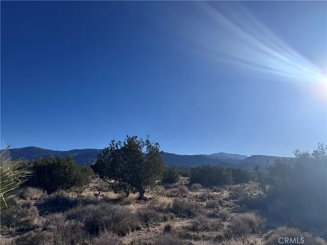 $50,000 | 0 Vac/antelope, Llano, CA 93544