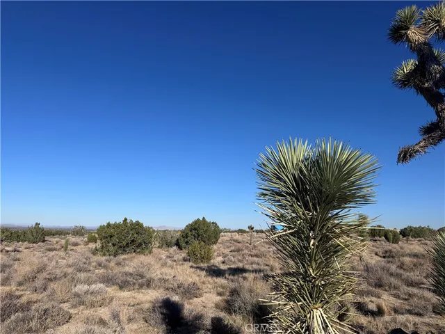 $50,000 | 0 Vac/antelope, Llano, CA 93544