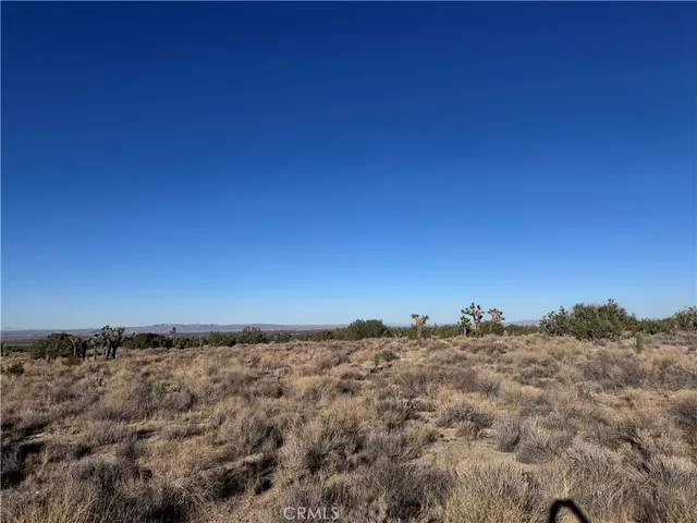 $50,000 | 0 Vac/antelope, Llano, CA 93544