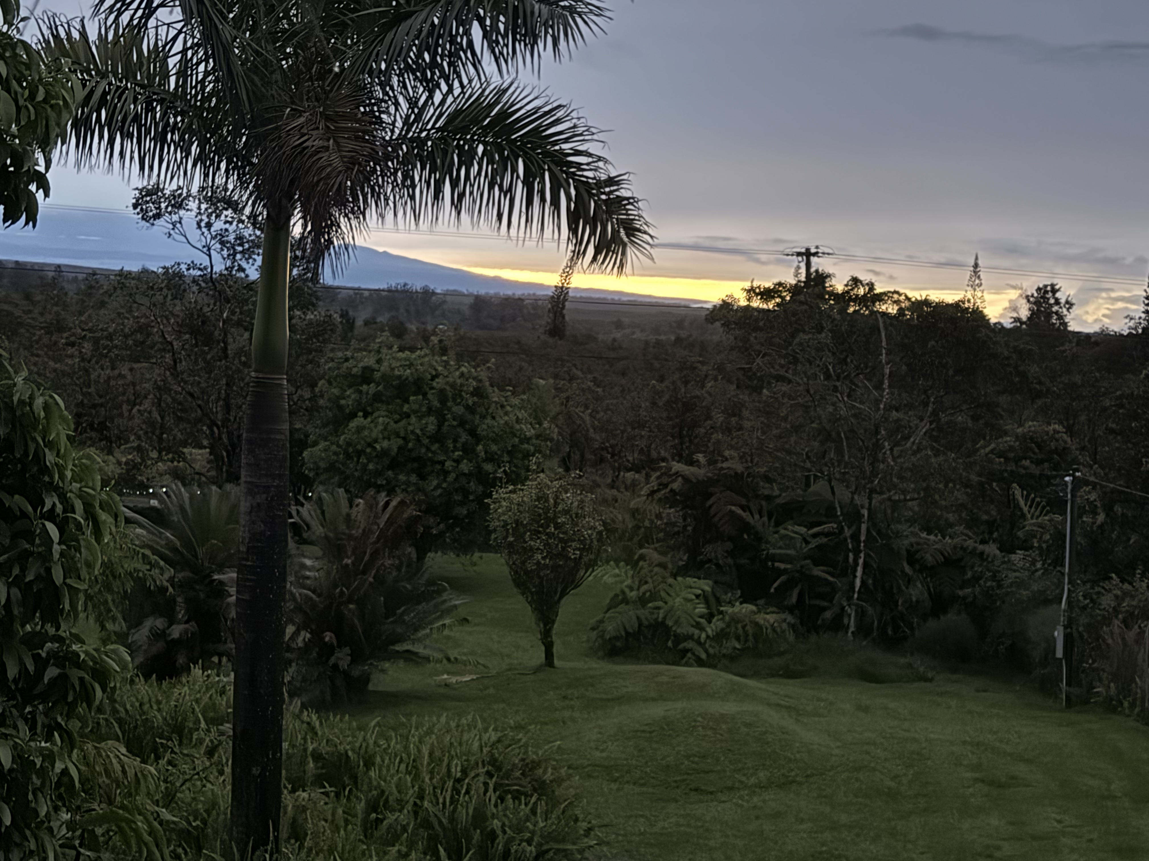 11-2485 Omeka Road Mountain View, HI 96771 - Photo 27 of 30 a view of a yard