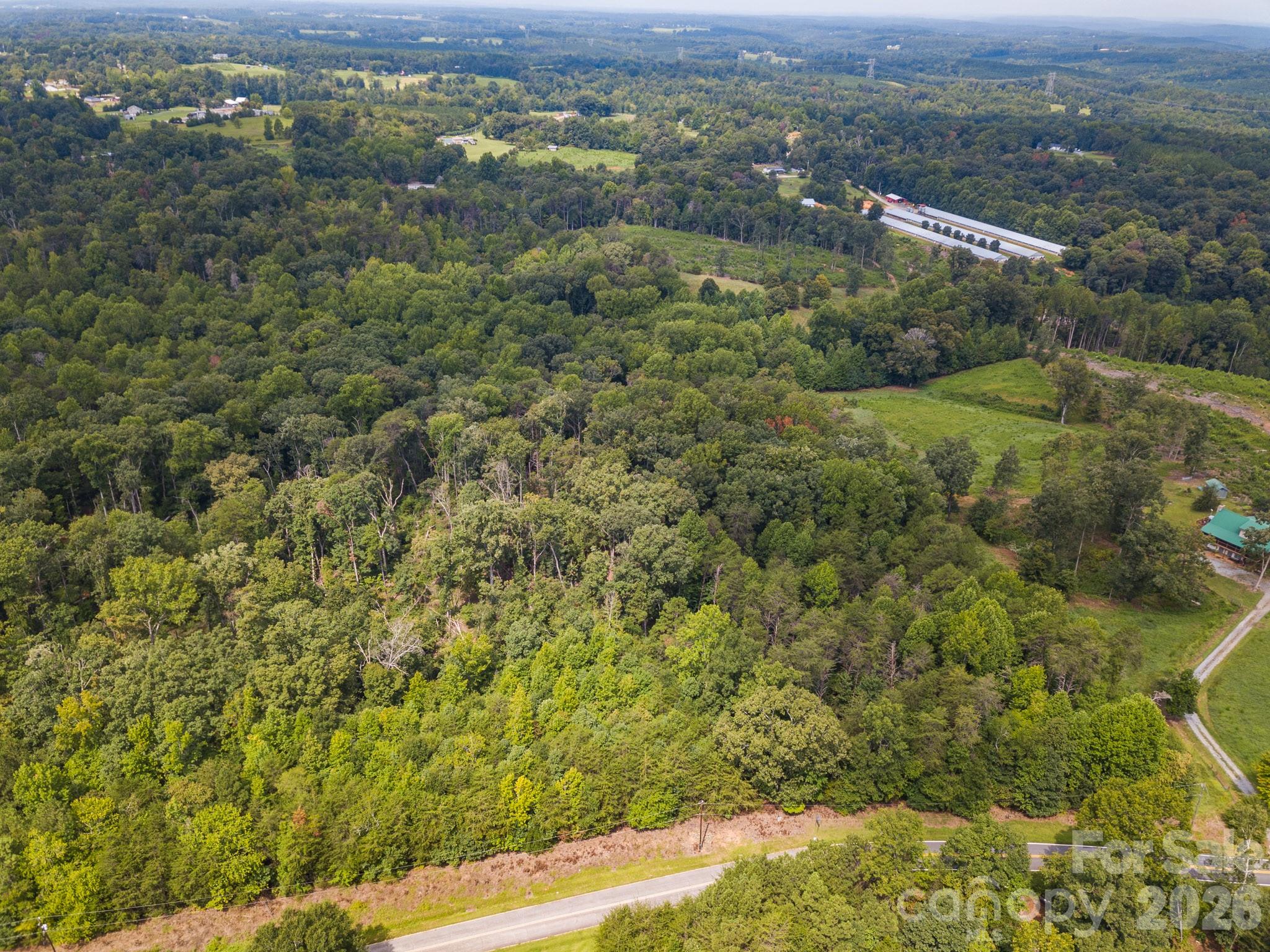 99999 Lail Road Rutherfordton, NC 28139 - Photo 4 of 15 Gallery Image 4