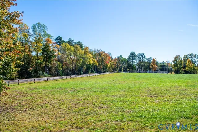 a view of field with tall trees