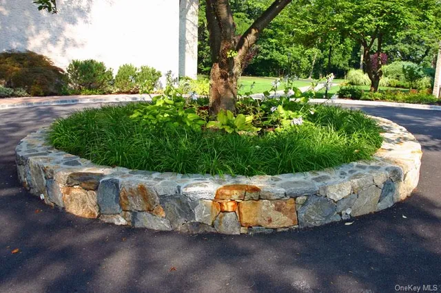a view of a garden with plants