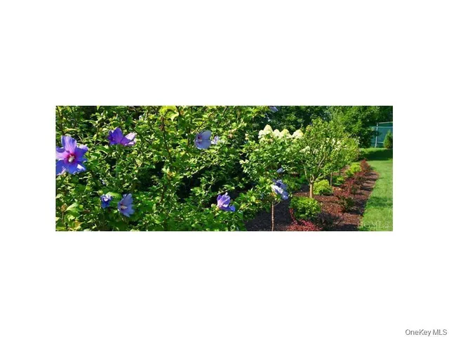 an aerial view of a house with a yard and greenery