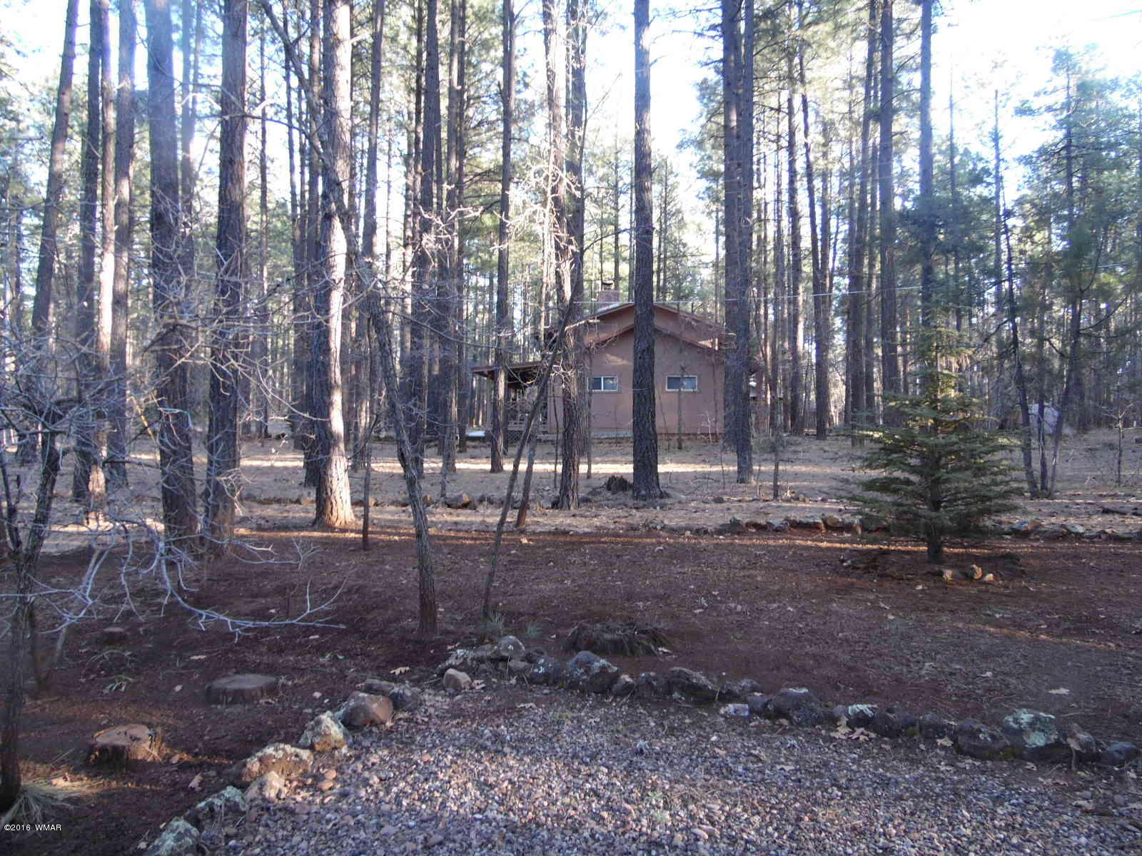 2847 Hummingbird Lane Pinetop, AZ 85935 - Photo 11 of 11