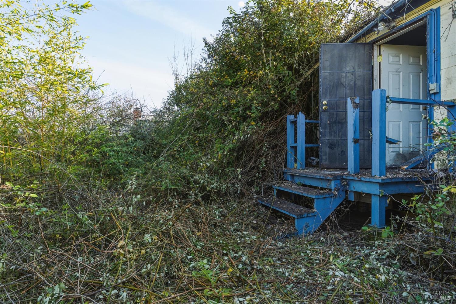 921 Jones Street Berkeley, CA 94710 - Photo 17 of 19
