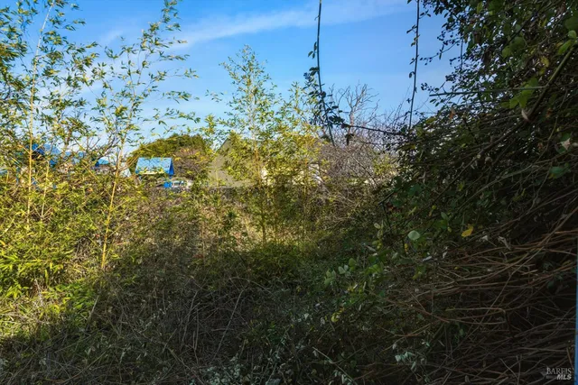 $600,000 | 921 Jones Street, Berkeley, CA 94710