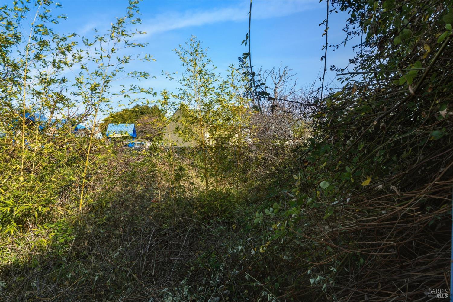 921 Jones Street Berkeley, CA 94710 - Photo 18 of 19