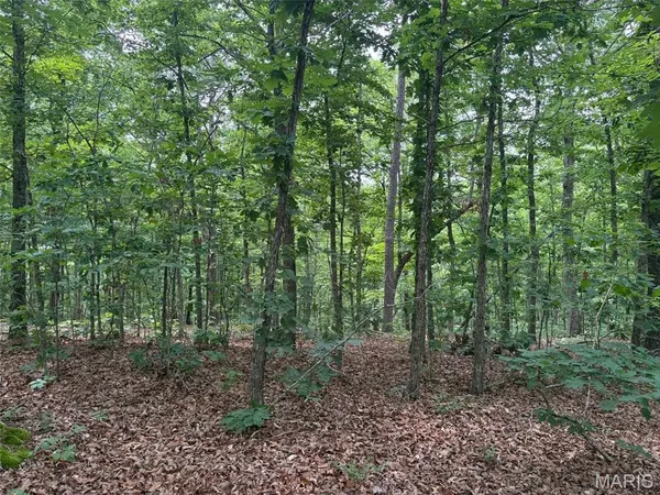 $80,000 | 0 Highway 21, Ellington, MO 63638